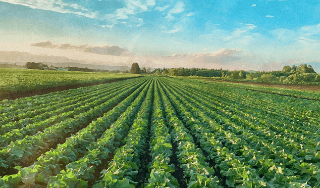 キービジュアル