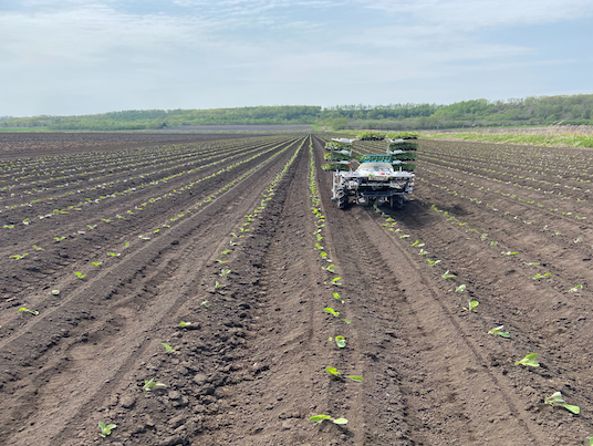 畑とトラクターの写真